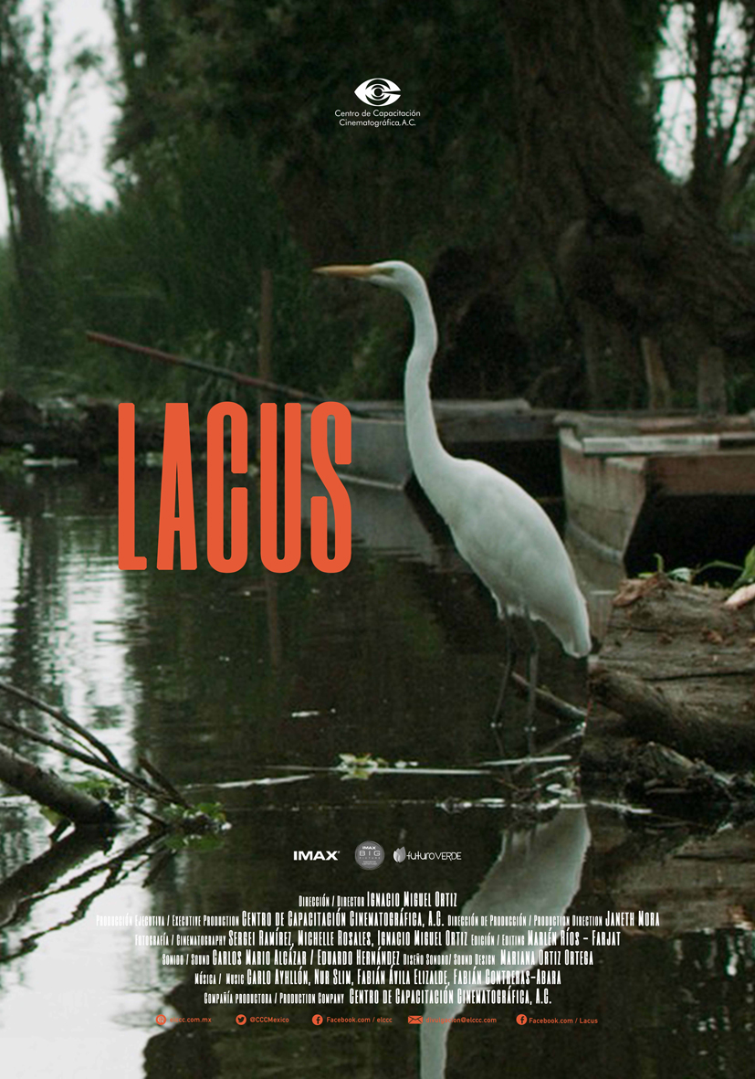 Poster Lacus web