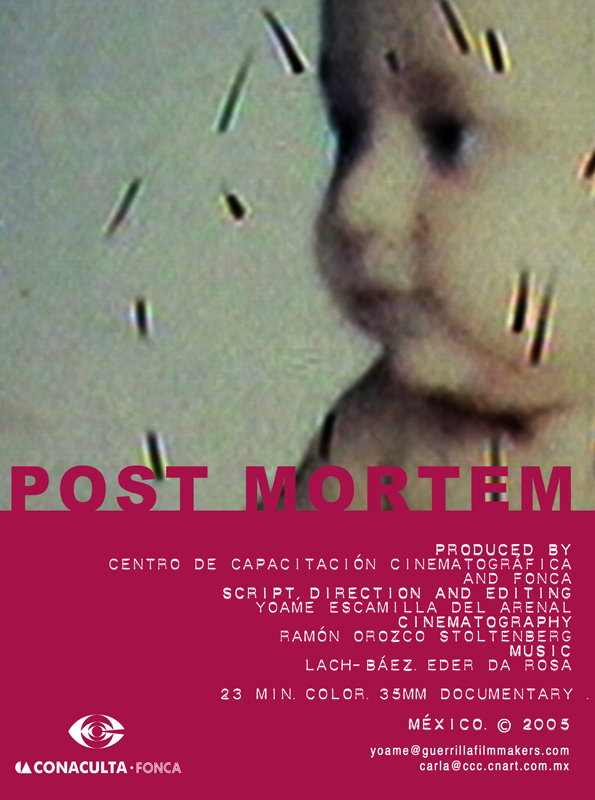 poster-postmorten-web.png